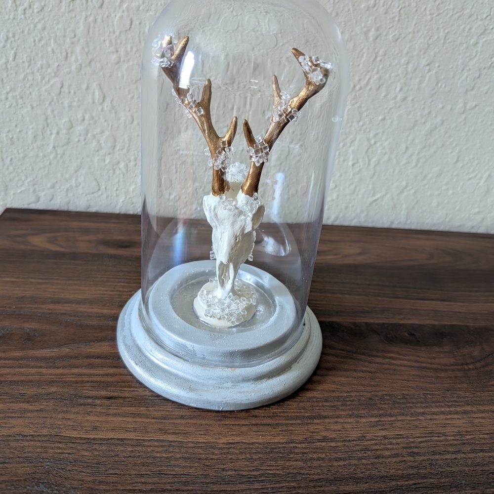 Decorative Antler Display with Glass Dome